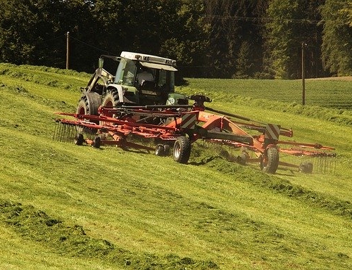 coupe de l'herbe en tracteur